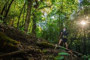 BIB: 
                            <button type="button" onclick="openModal(16015636)" class="btn btn-primary btn-sm float-right btn-popup" data-toggle="modal" data-target=".modal-high-quality">
                        <i class="fas fa-shopping-cart"></i> Add to Cart
                    </button>
                                            <button type="button" onclick="isThisMe(16015636, true)" class="btn btn-success btn-sm float-right btn-popup btn-isme hidden" data-toggle="tooltip" data-placement="bottom" title="นี่คือรูปของคุณใช่ไหม คลิกที่นี่เพื่อเอาเข้าอัลบั้ม">
                        <i class="fas fa-plus"></i> Add to album
                    </button>
                    <button type="button" onclick="isThisMe(16015636, false)" class="btn btn-warning btn-sm float-right btn-popup btn-isnotme hidden">
                        <i class="fas fa-ban"></i> Remove from album
                    </button>